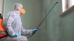 Mold Remediation for Rental Properties in Myrtle Creek, OR