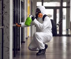 Why You Should Choose Our Mold Remediation Services in Myrtle Creek, OR